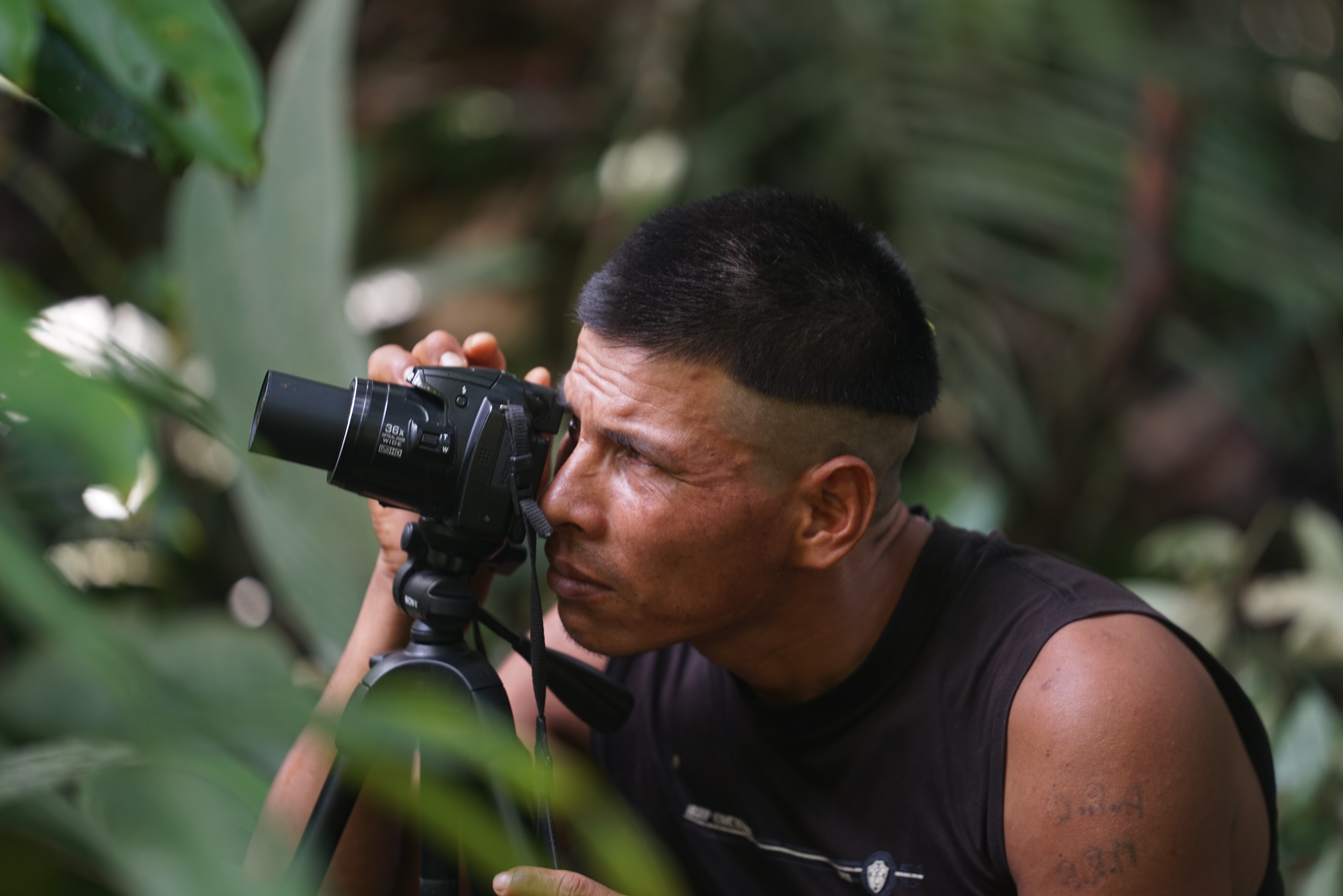Wildlife photographer capturing rainforest biodiversity during an Amazon research expedition.